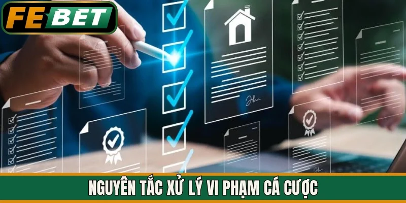 Nguyên tắc xử lý vi phạm cá cược